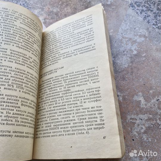 Капуста. Китаева. 1977 г