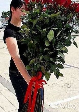 Букет роз 101 роза 51 роза