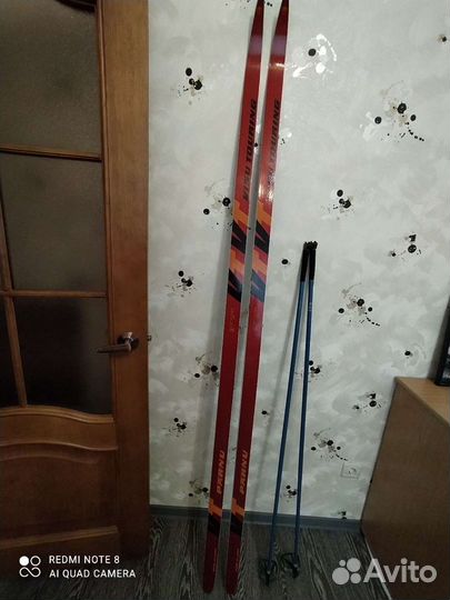 Беговые лыжи