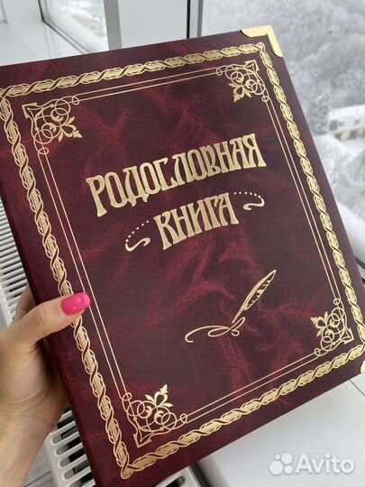 Новая родословая книга подарок