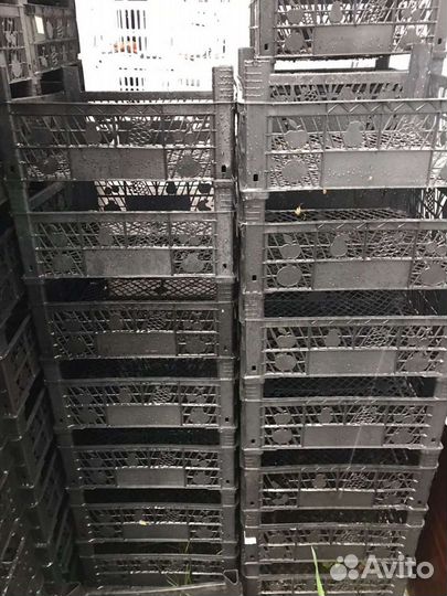 Ящик пластиковый