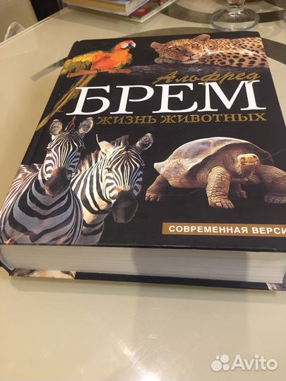 Книга Жизнь животных