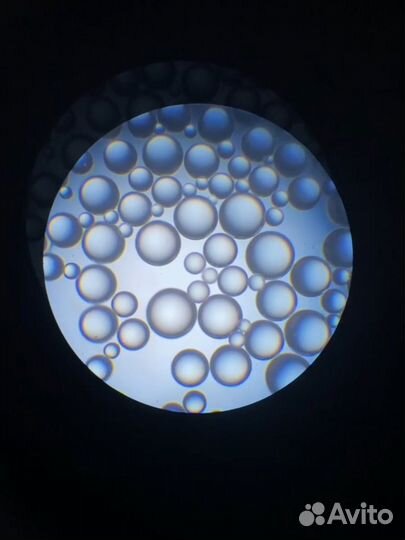 Репетитор по химии и по математике