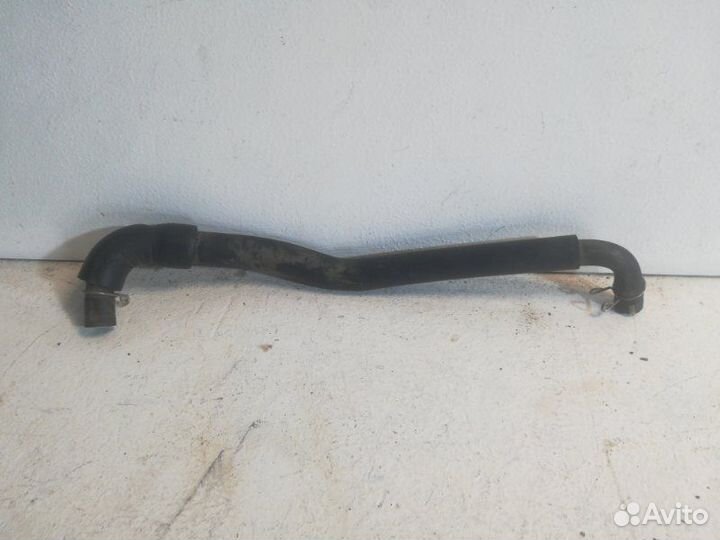 Шланг системы охлаждения Lexus Rx AL10 2grfe 2010