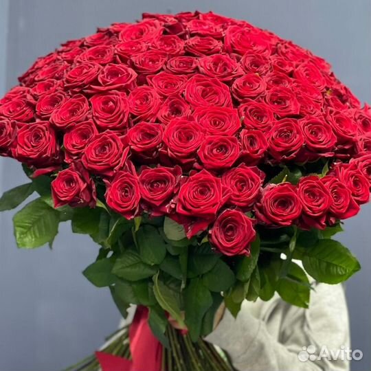 101роза 70см с доставкой / Букет из красный розы