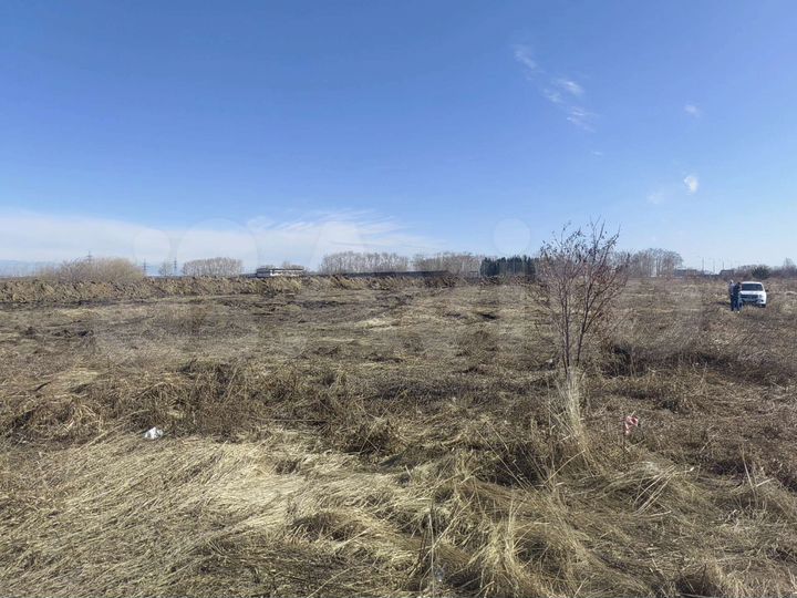 Участок 51 сот. (СНТ, ДНП)