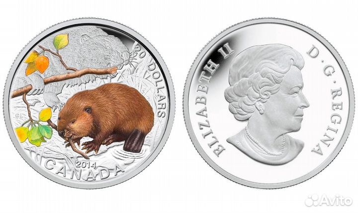 2014 Canada 20 Baby Animals - The Beaver