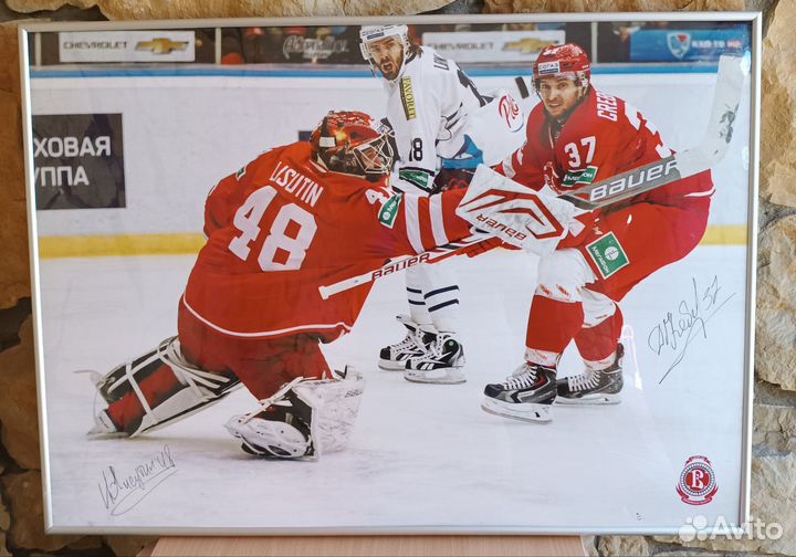 Плакат с автографом игроков хк витязь