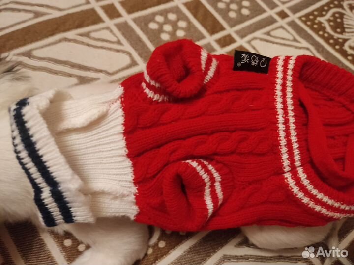 Одежда для маленьких собак xs