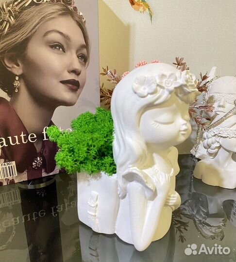 Мох стабилизированный в кашпо новое