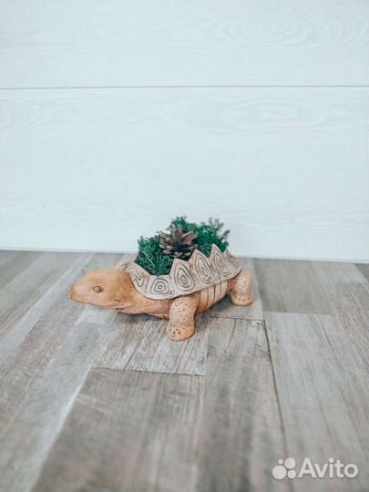 Интерьерная черепаха