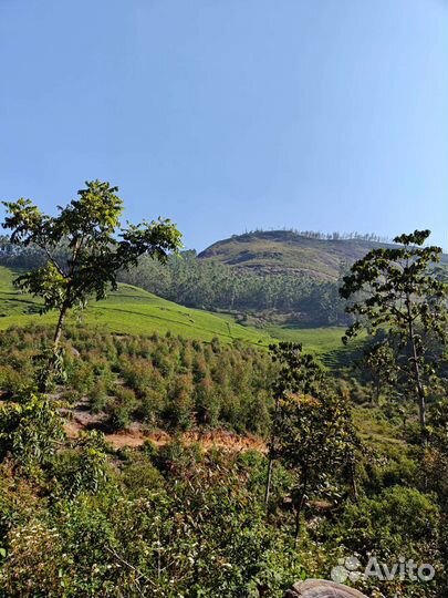 Переводчик хинди - русский язык