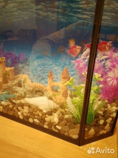 Аквариум