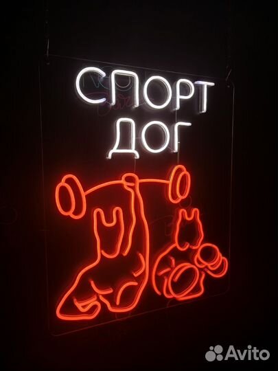 Спорт Дог Дрессировка собак в Астрахани