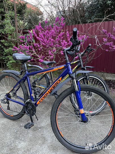 Велосипеды-Аренда