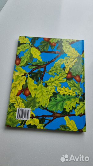 Екатерина Лукьяненко Кукушкины кукуслёзки