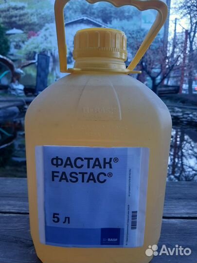 Фастак, Альфаплан