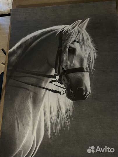 Портрет питомца на заказ