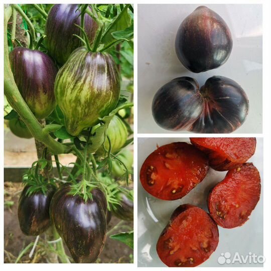 Семена томатов