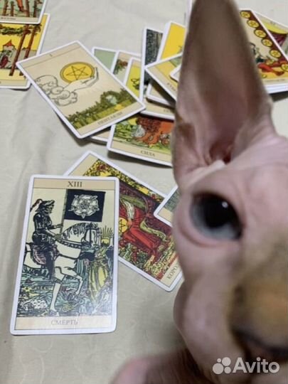 Расклад на картах таро