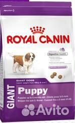 Корм для гигантских щенковRoyal Canin Giant Puppy