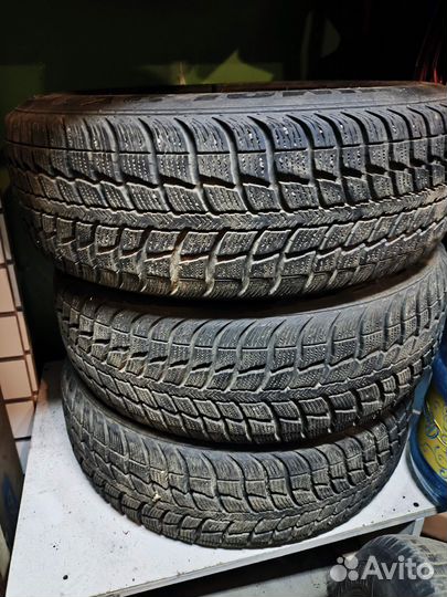 Federal Himalaya WS2 205/60 R16 95H