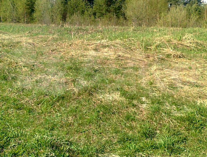 Участок 27 сот. (ИЖС)