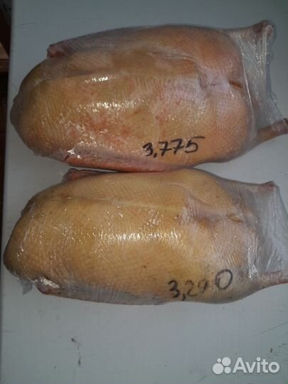 Тушки гусей