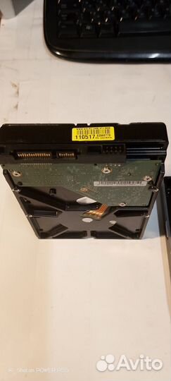 Жесткий диск 1 тб western digital