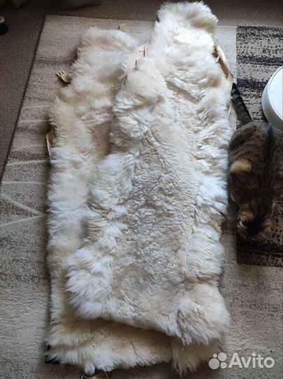 Шкурка животного