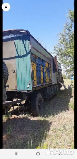 Пасеку готовую продам