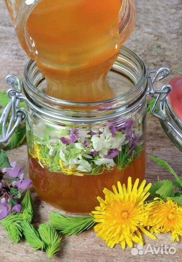 Мёд 2023. Без рапса