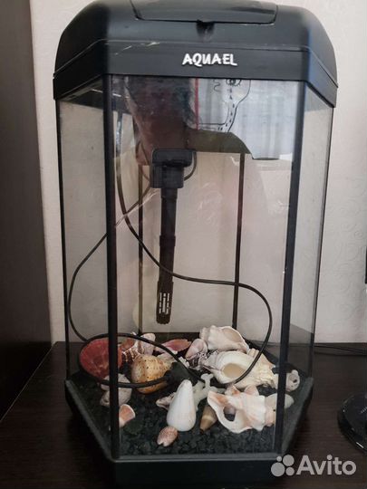 Аквариум