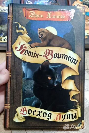 Коты воители