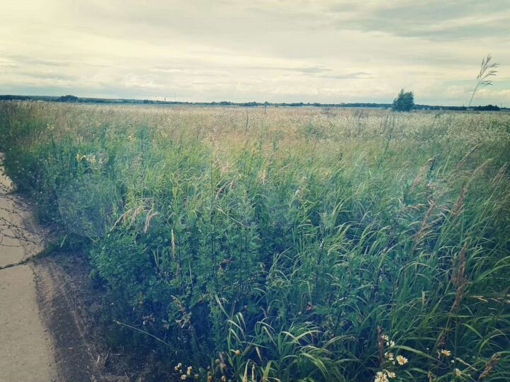 Участок 2,57 га (СНТ, ДНП)