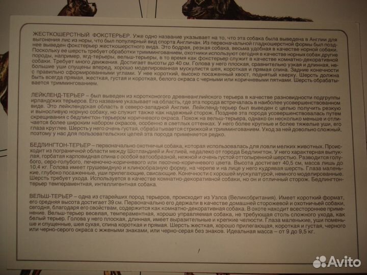 Набор открыток