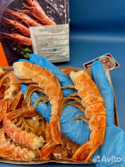 Лангустины с головой