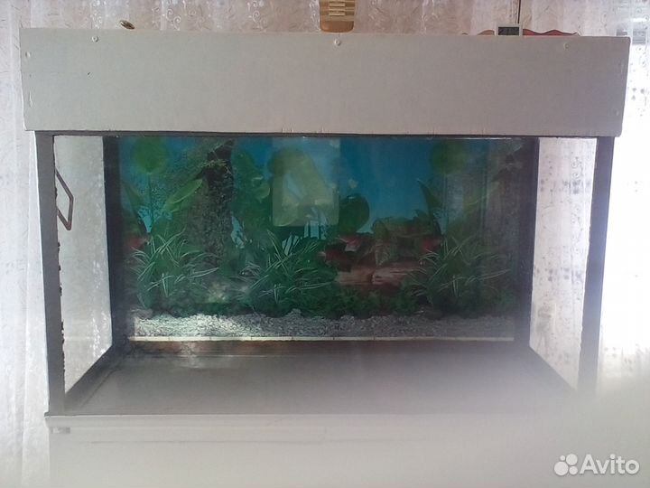 Аквариум