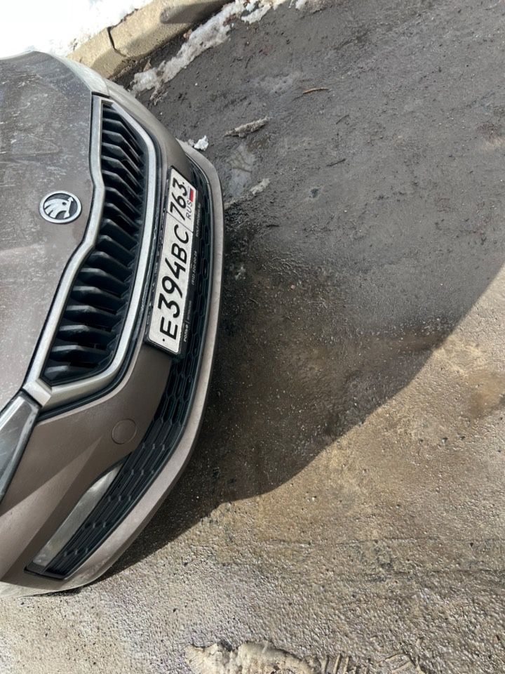 Skoda Rapid: фото владельца
