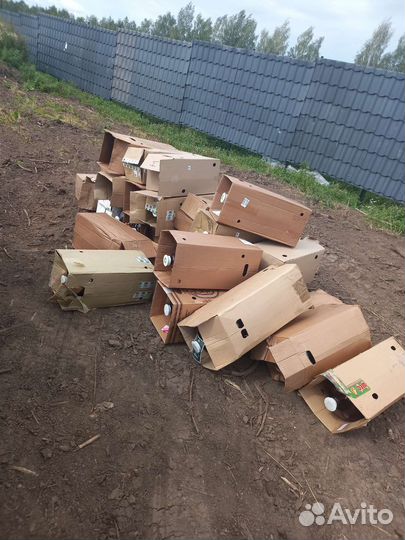 Кеги пэт бу, отдам бесплатно от 20 шт