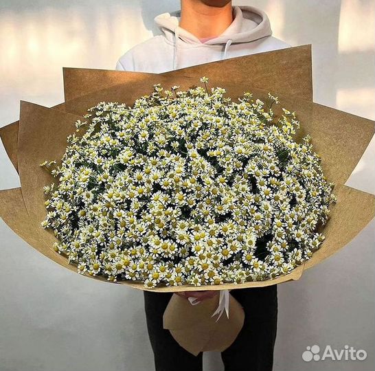 Ромашки Букет из ромашек доставка
