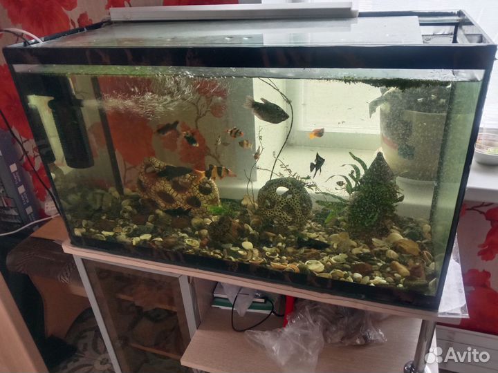 Аквариум
