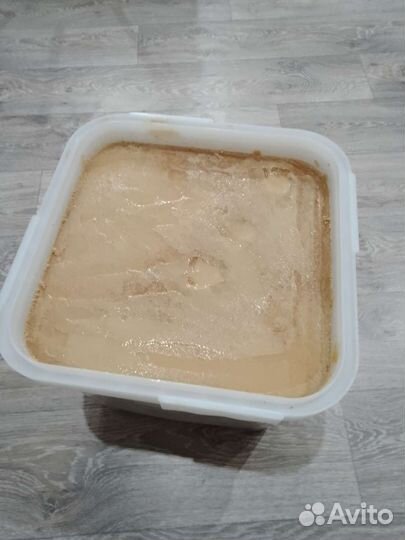 Мед с Алтая