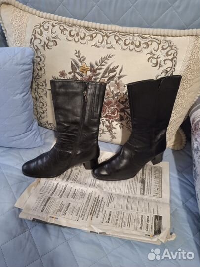 Сапоги кожаные женские осенние р38