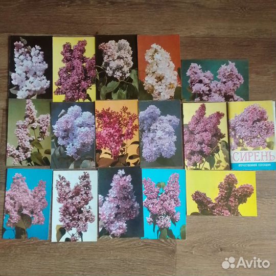 Набор цветных открыток