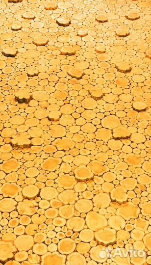 Панно из можжевельника