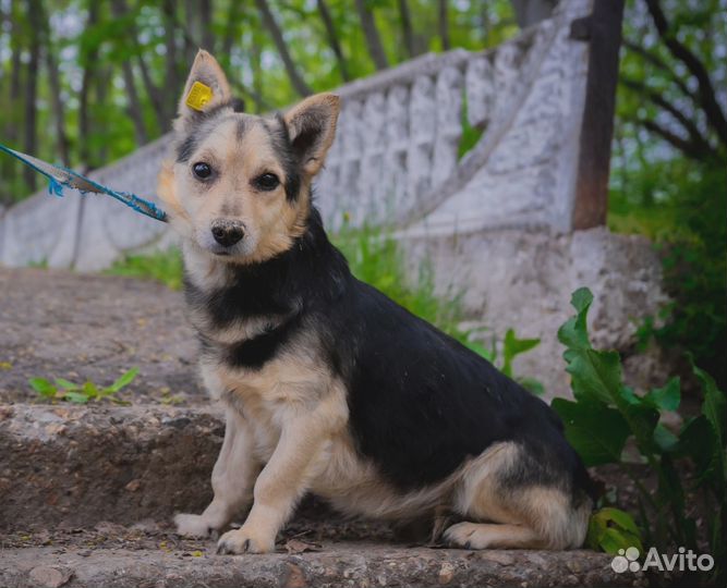 Он всё ждёт