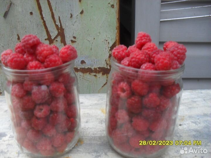 Малина ягода :