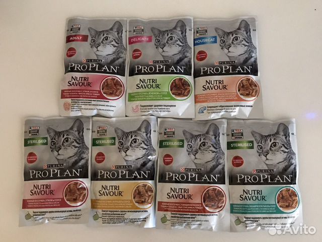 Purina pro plan для кошек