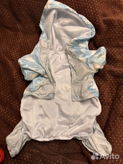 Вещи для собак мелких пород